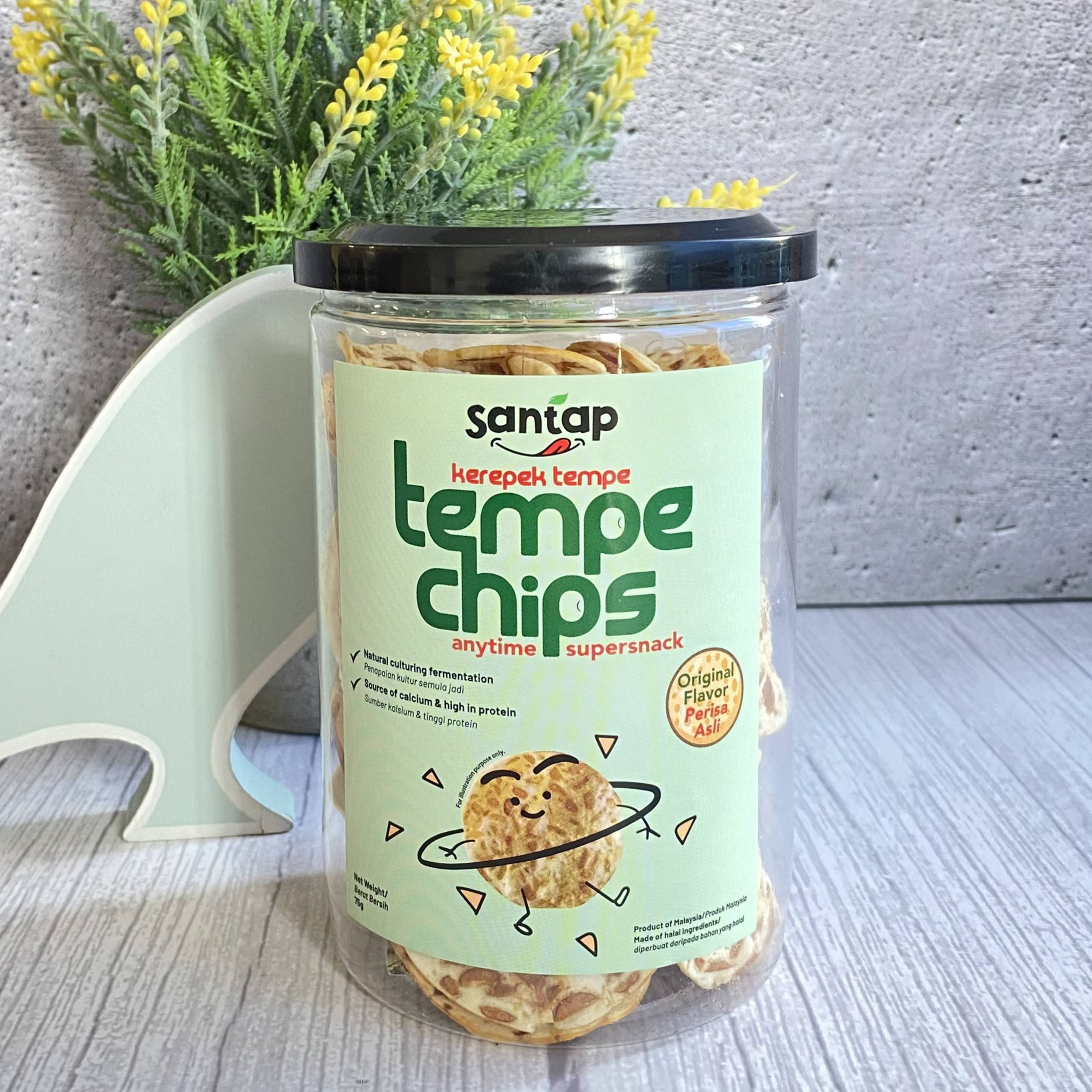 Halal Tempe Buy Tempe Chips Online Malaysia