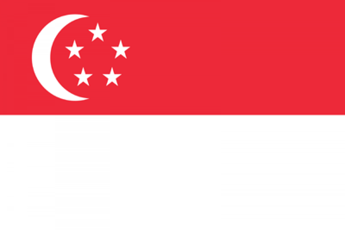 Singapore flag