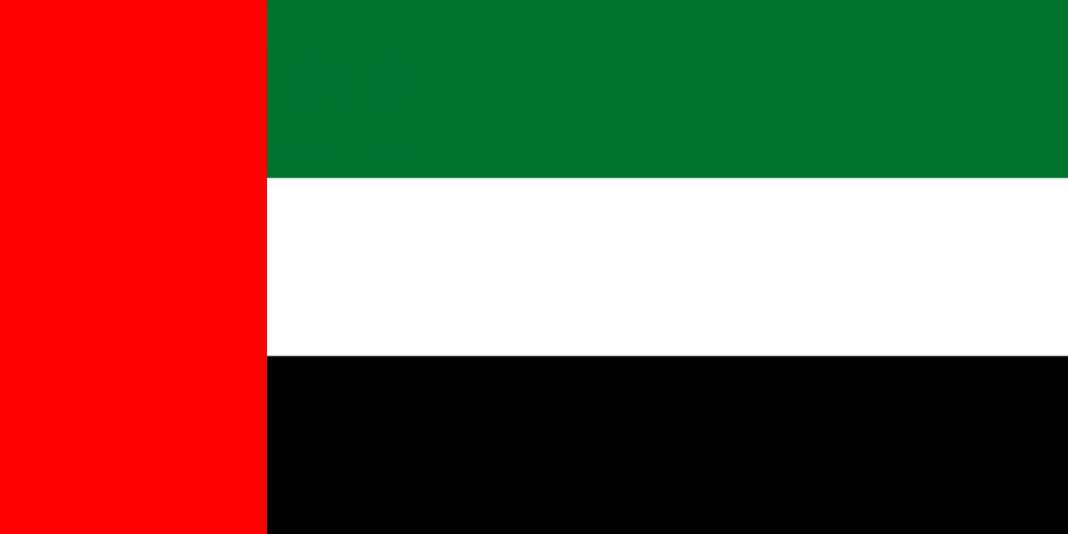 UAE flag