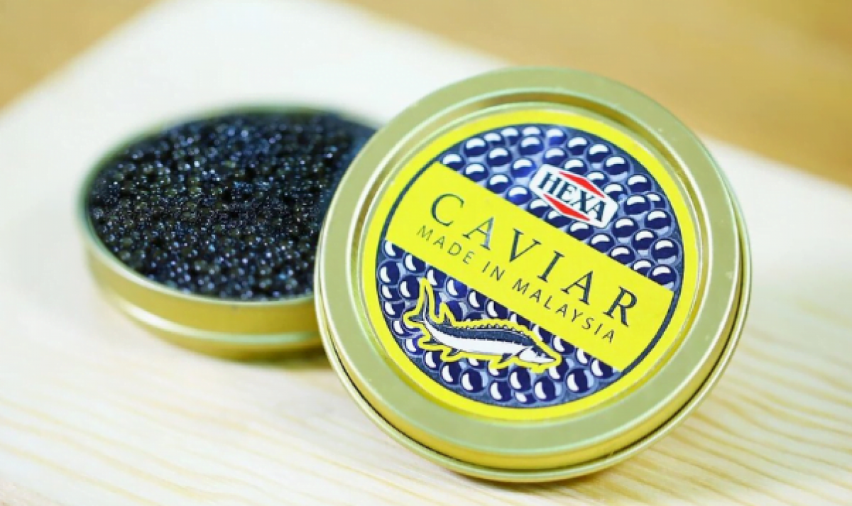 caviar