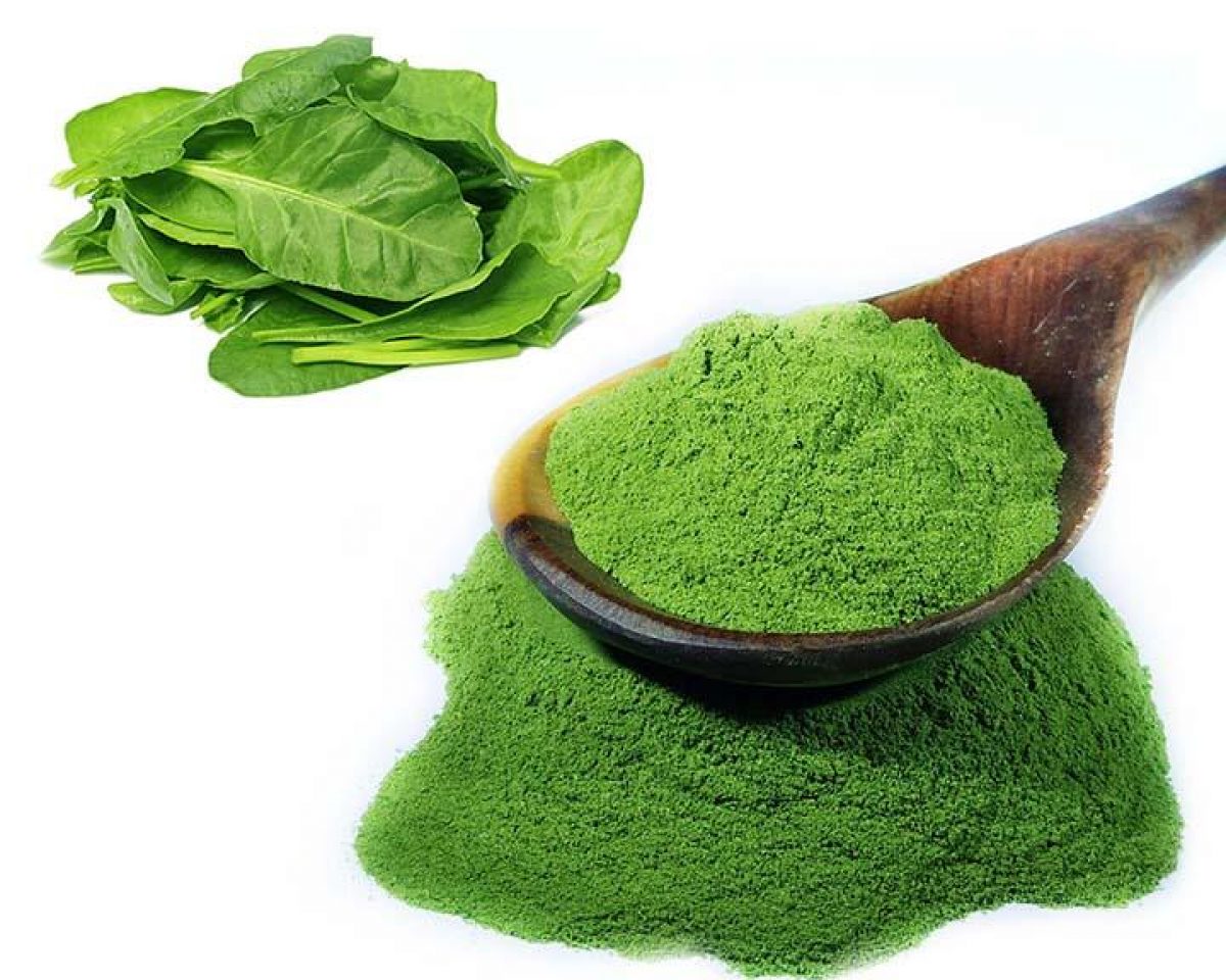 spinach powder